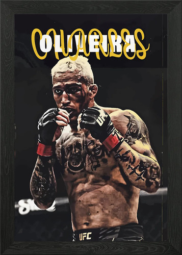 Charles oliveira ufc fighter - ufc,