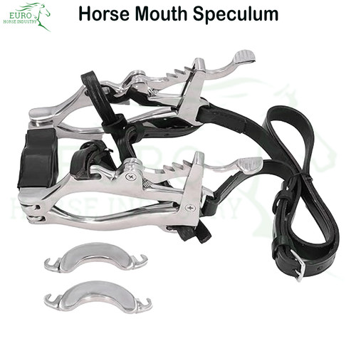 Equine dental speculum horse - equine,
