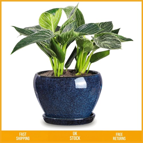 Elegant glazed blue - elegant, ceramic