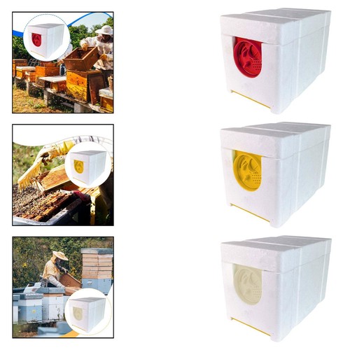 Queen bee growing box - queen,
