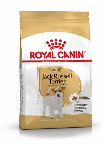 Jack russell terrier adult - adult, dry