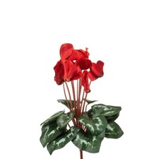 Faux Silk Cyclamen Bush 8