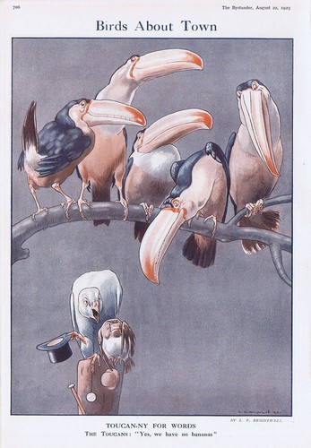 Birds about town - about,