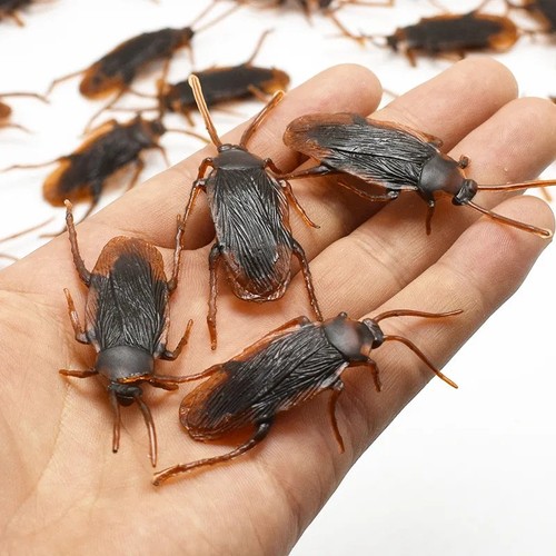Fake plastic cockroaches - fake,