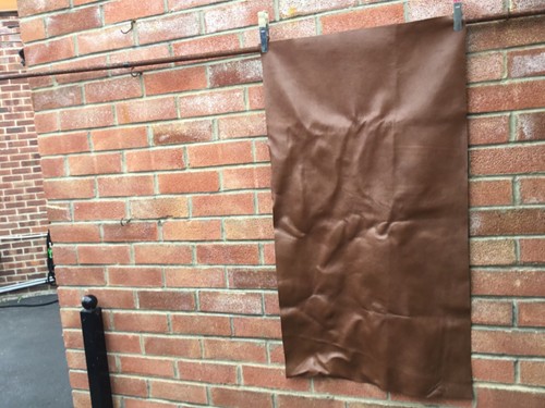 Large leather x - x, 51