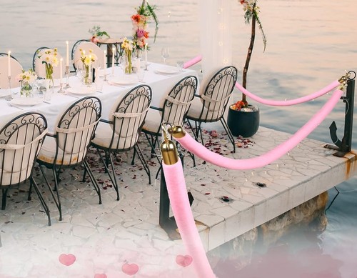 Pink velvet stanchion ropes - velvet,