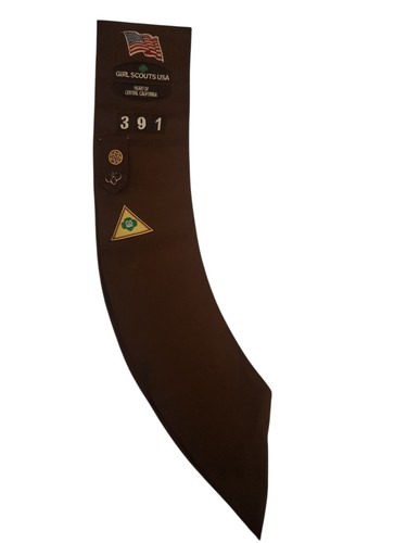 Girl scout brownie sash - brownie,