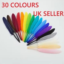 10-15cm Goose Feathers Arts Crafts Hat Costume Wedding Colour UK