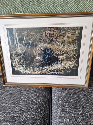 Pollyanna pickering 2black - pollyanna,