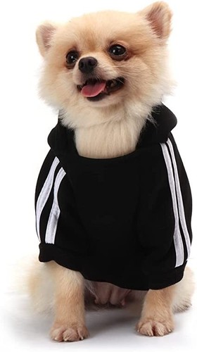 Dog sweater jumpers dogs - dog,