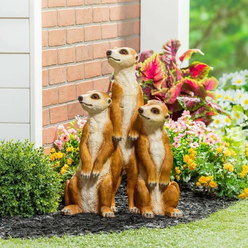Evergreen meerkat statue - evergreen,