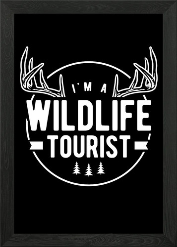 Wildlife tourist framed - wildlife,