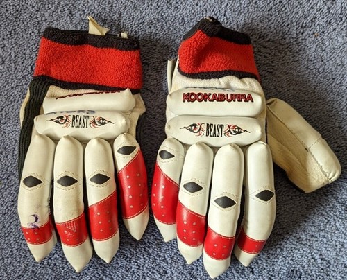 Kookaburra little beast youths - kookaburra,