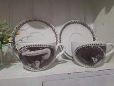 Pair of rare Portmeirion