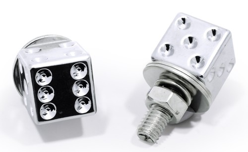 License plate bolts - license, mounting