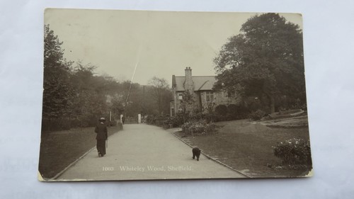 Postcard sheffield whiteley - postcard, sheffield,