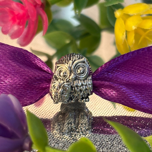 Pandora charming owl - pandora, 💖