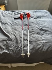 115cm Ski Poles With Guards