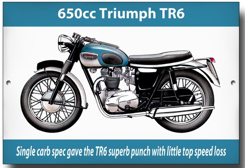 Triumph tr6 650cc enamelled - 650cc,