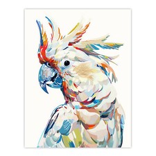 Cockatoo parrot bird - parrot,