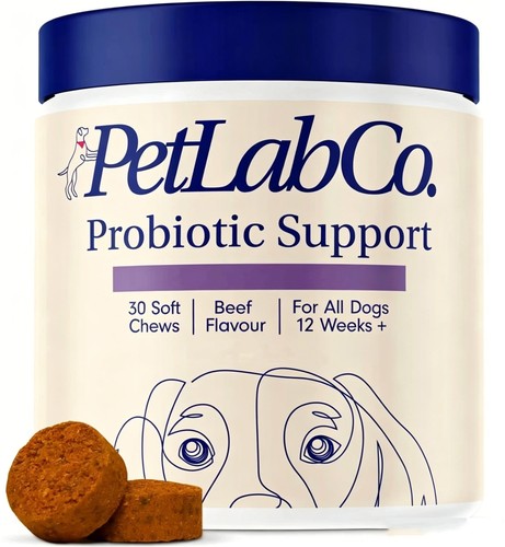 Petlab probiotic dog chews - probiotic,