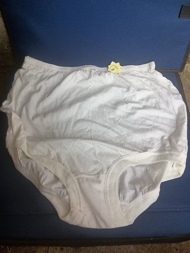 Vintage kmart granny panties - vintage,