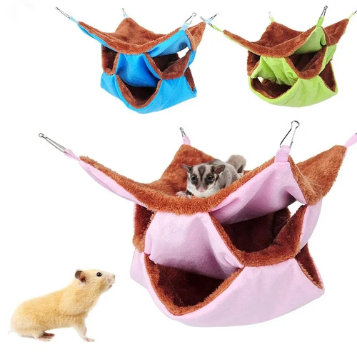 Ferret rat squirrel pet bird - squirrel,