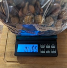 Job Lot Wooden Jewellry