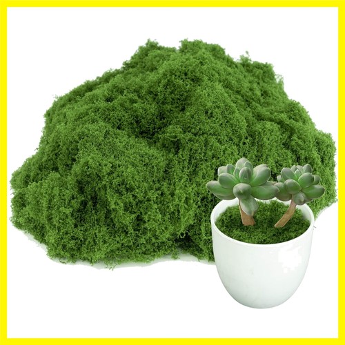 Fake green moss - fake, potted
