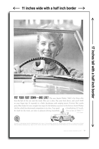 1959 austin healey - 1959, put