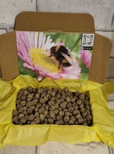 100 Handmade Bee Bombs Gift