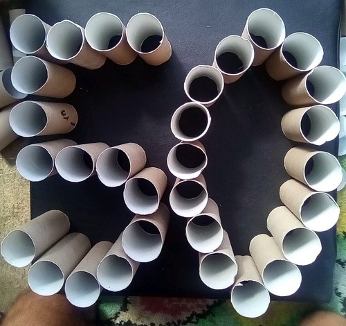 Clean empty toilet rolls - empty,