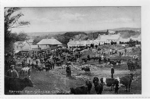 Harvest fair glenties - harvest,