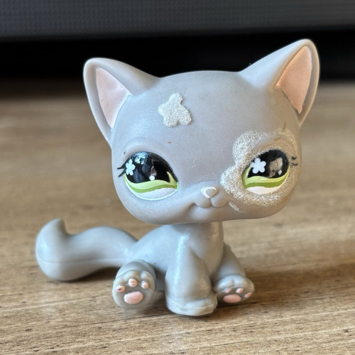 Lps grey shorthair 467 - grey, with