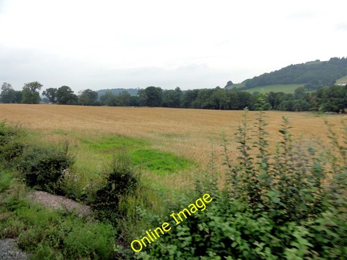 Photo 12x8 hydan fawr - photo,