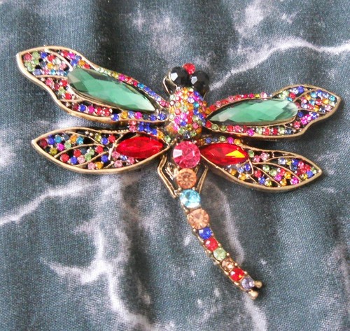 Beautiful large dragonfly