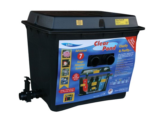 Oasis clear pond - oasis,