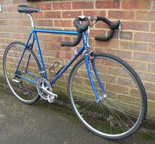 56cm Harry Quinn Classic Steel
