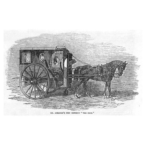 Victorian horse carriage - horse,