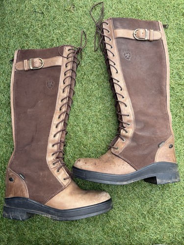 Ariat coniston brown country - ariat,