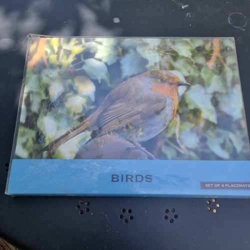 British bird placemats set - -,