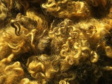 Felsted Fleece: LOCKS of