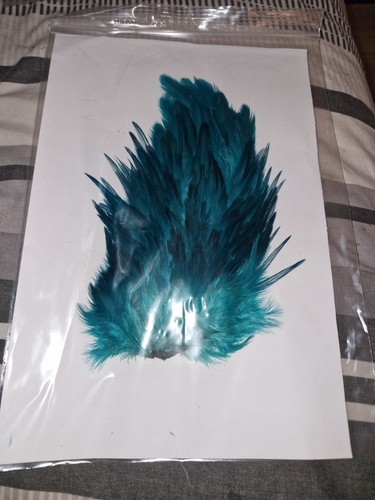Large saddle cock - , hackles