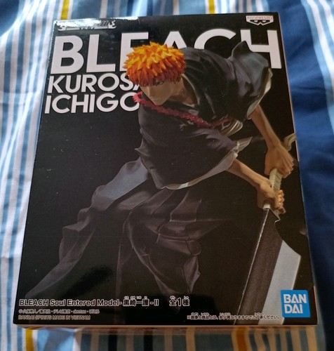 Bleach ichigo kurosaki - ichigo,