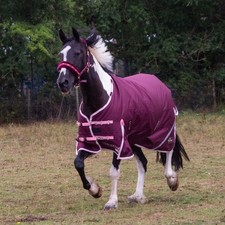 Gallop Trojan Xtra Duraproof