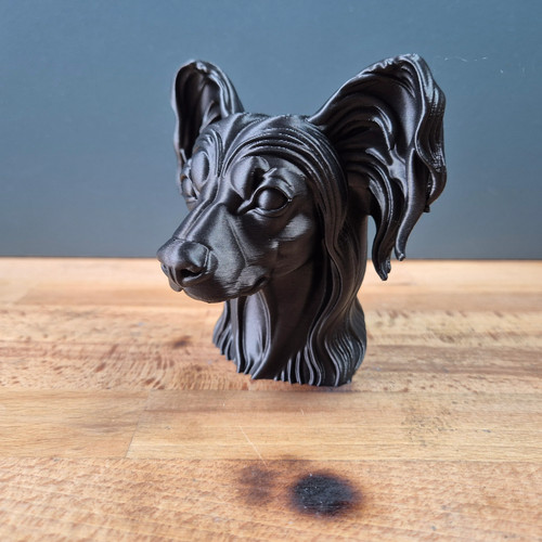 Chinese crested bust - chinese,