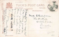 FAMILY HISTORY - POSTCARD - WHALEBONE - LINCOLN HOLTON PARK THE ANTHILL