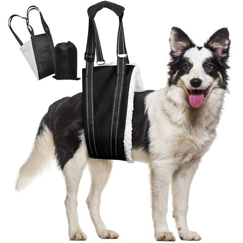 Pet dog mobility aids support - mobility,