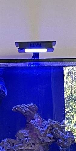 Fluval sea nano marine - fluval,