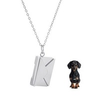 Dachshund Dog Black Pet Silver